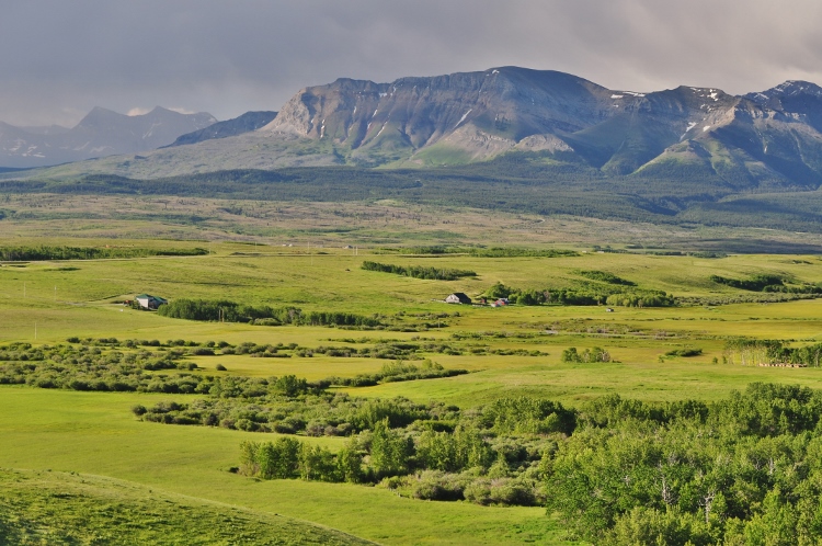 Alberta countryside